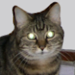 Meet your Posher, Robin b